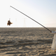 Illustration for article titled Falconers in Abu Dhabi Train Their Raptors With Drones
